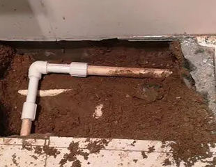 麻章测漏水哪家好