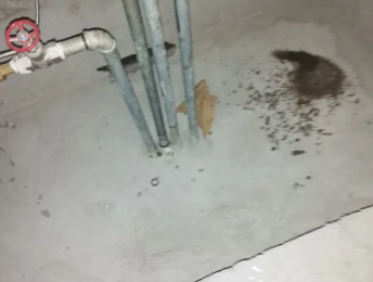 麻章卫生间测漏水价格明细