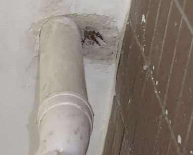 麻章漏水检测哪家好